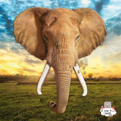 I AM - Elephant - MDC-5123007 - MaDDCaPP - Puzzles pour les plus grands - Le Nuage de Charlotte