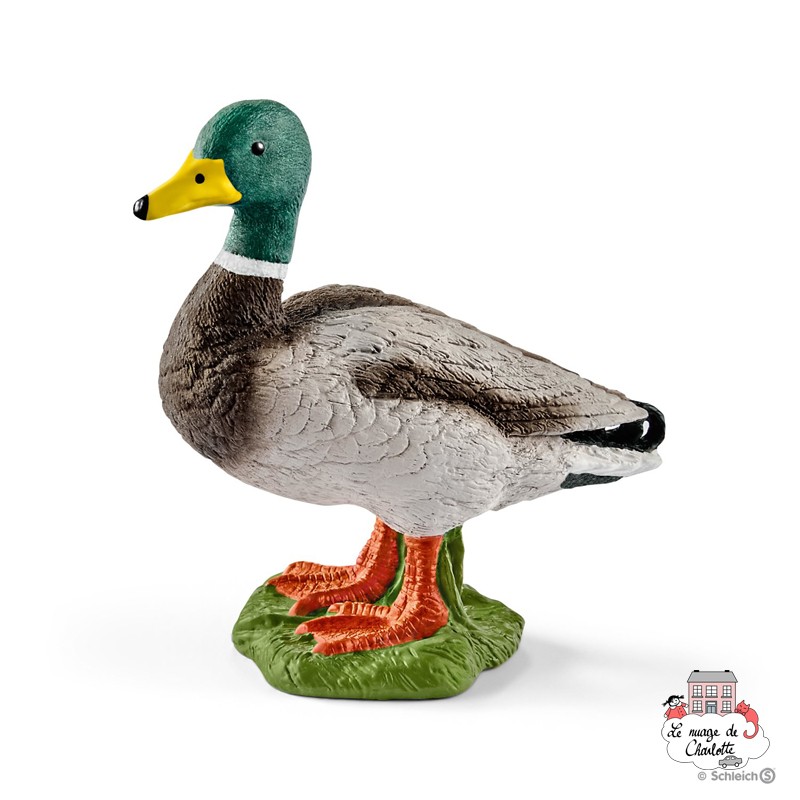 Canard - SCH-13824-🟢 - Schleich - Figurines et accessoires - Le Nuage de Charlotte