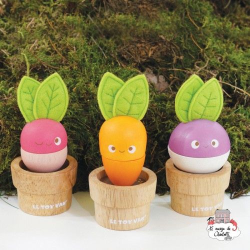 Légumes Empilables - LTV-PL121 - Le Toy Van - Jouets d'activité - Le Nuage de Charlotte