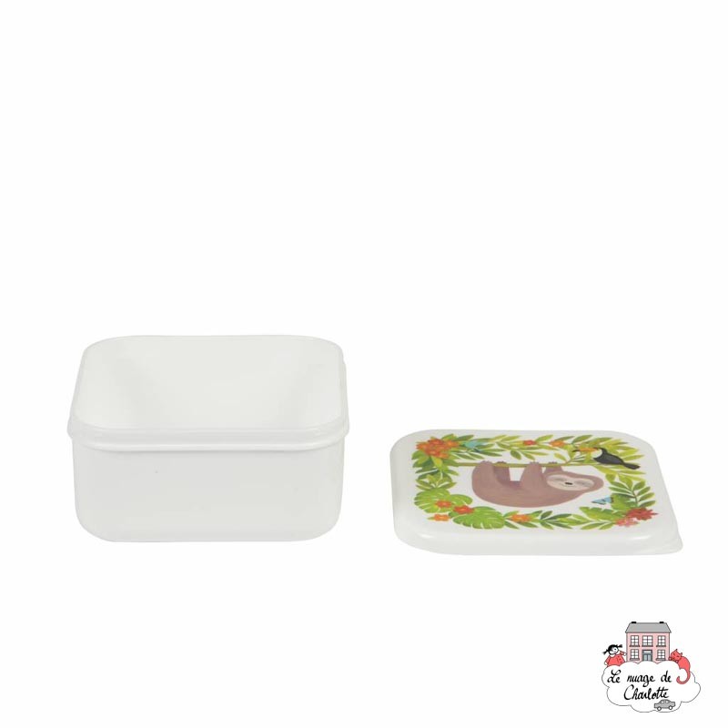 Sloth and Friends Lunch Box - S&B-MAXI030 - Sass & Belle - Lunch box, snack - Le Nuage de Charlotte