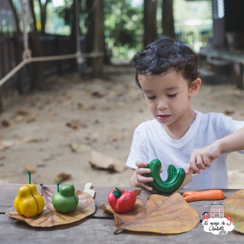 Fruits et légumes Wonky - PLT-3495 - PlanToys - Epicerie - Le Nuage de Charlotte