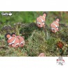 Eugy 037 - Poisson Clown - EUG-5313999 - dodoland - Maquettes en carton - Le Nuage de Charlotte