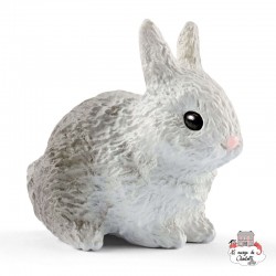 Clinique vétérinaire avec animaux domestique - SCH-42502 - Schleich - Schleich - Le Nuage de Charlotte