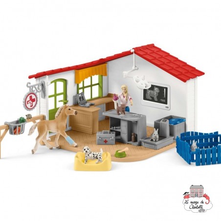 Clinique vétérinaire avec animaux domestique - SCH-42502 - Schleich - Schleich - Le Nuage de Charlotte