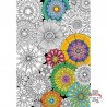 Colouring Puzzle - Big Beautiful Blossoms - EDU-17090 - Educa Borras - 100 pieces - Le Nuage de Charlotte