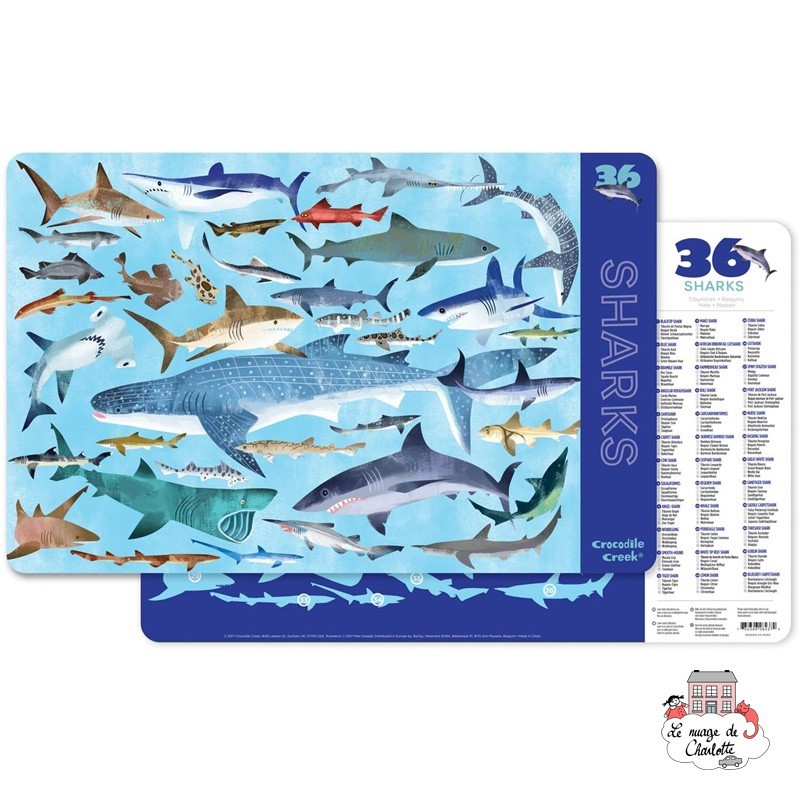 Placemat - 36 sharks - CCR-2843-7 - Crocodile Creek - Placemats - Le Nuage de Charlotte