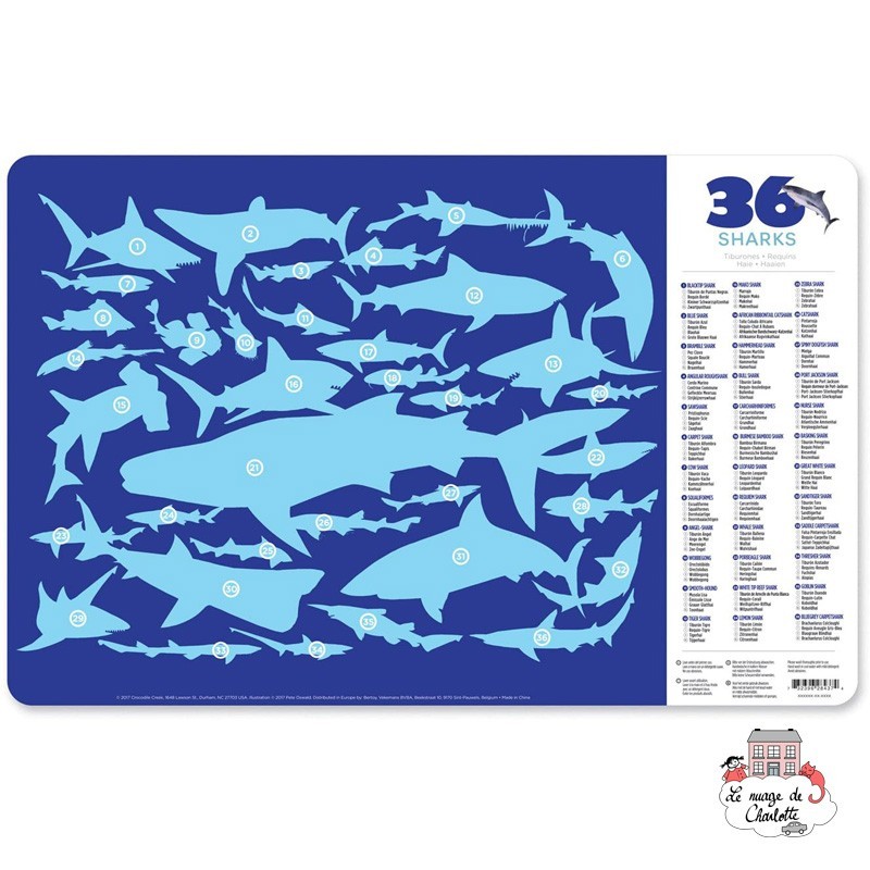 Set de table - 36 requins - CCR-2843-7 - Crocodile Creek - Sets de table - Le Nuage de Charlotte