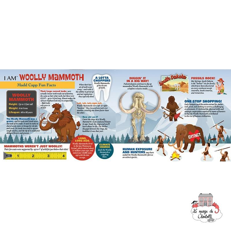 I AM - Woolly Mammoth - MDC-5124017 - MaDDCaPP - 100 pieces - Le Nuage de Charlotte