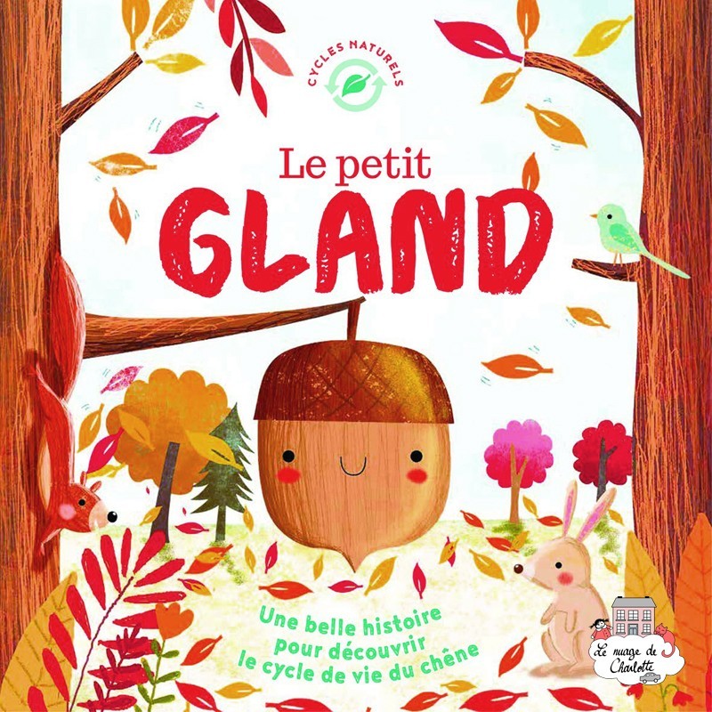 Le petit gland - 123-9782359903294 - Editions 123 Soleil - Documentaires - Le Nuage de Charlotte