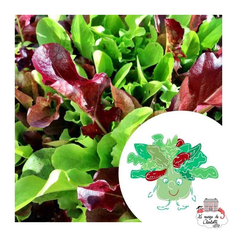 Mini organic seeds kit of Augustin mesclun - LPR-G141 - Les Petits Radis - Nature and discoveries - Le Nuage de Charlotte