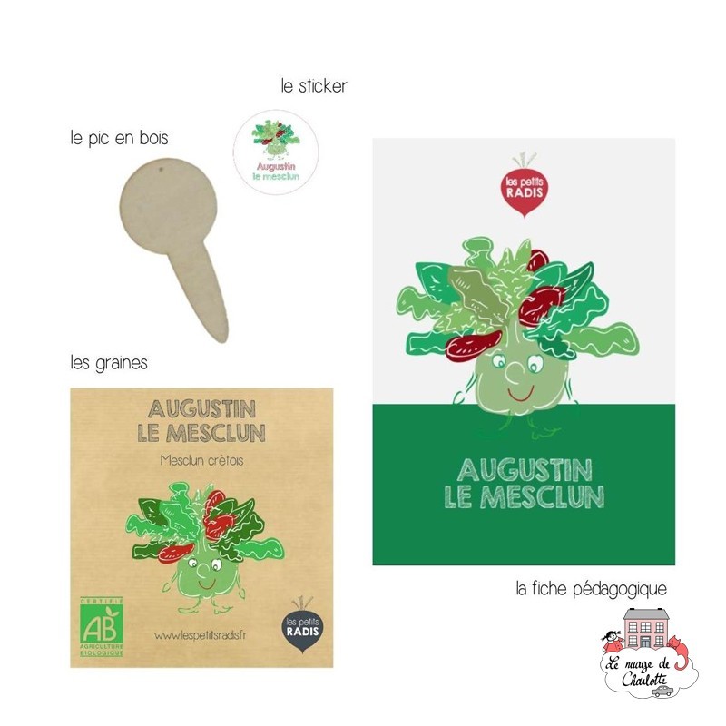 Mini kit de graines BIO d'Augustin le mesclun - LPR-G141 - Les Petits Radis - Nature et découvertes - Le Nuage de Charlotte