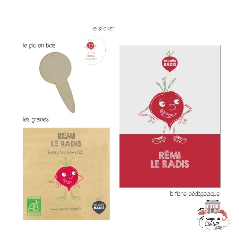 Mini organic seed kit of Rémi the radish - LPR-G051 - Les Petits Radis - Nature and discoveries - Le Nuage de Charlotte