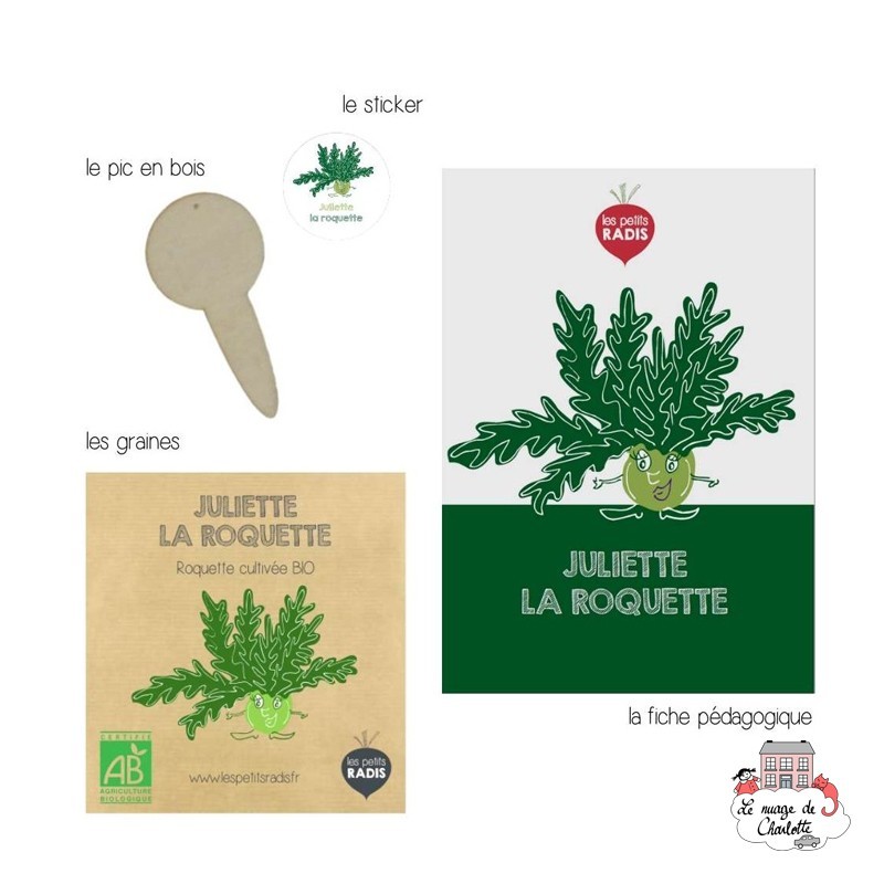 Mini organic seed kit of Juliette the arugula - LPR-G031 - Les Petits Radis - Nature and discoveries - Le Nuage de Charlotte