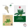 Mini kit de graines BIO de Juliette la roquette - LPR-G031 - Les Petits Radis - Nature et découvertes - Le Nuage de Charlotte