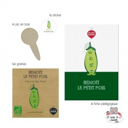 Mini kit de graines BIO de Benoît le petit pois - LPR-G161 - Les Petits Radis - Nature et découvertes - Le Nuage de Charlotte