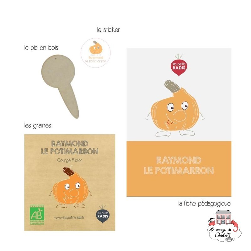 Raymond the pumpkin seed organic mini kit - LPR-G151 - Les Petits Radis - Nature and discoveries - Le Nuage de Charlotte