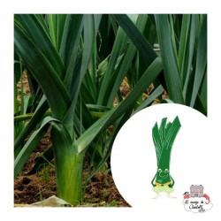 Mini organic seed kit of Marceau leek - LPR-G232 - Les Petits Radis - Nature and discoveries - Le Nuage de Charlotte