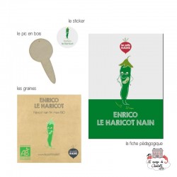 Mini organic seed kit of Enrico the bean - LPR-G091 - Les Petits Radis - Nature and discoveries - Le Nuage de Charlotte