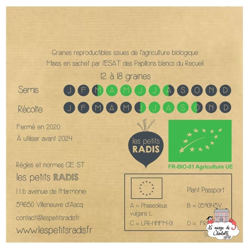 Mini organic seed kit of Enrico the bean - LPR-G091 - Les Petits Radis - Nature and discoveries - Le Nuage de Charlotte