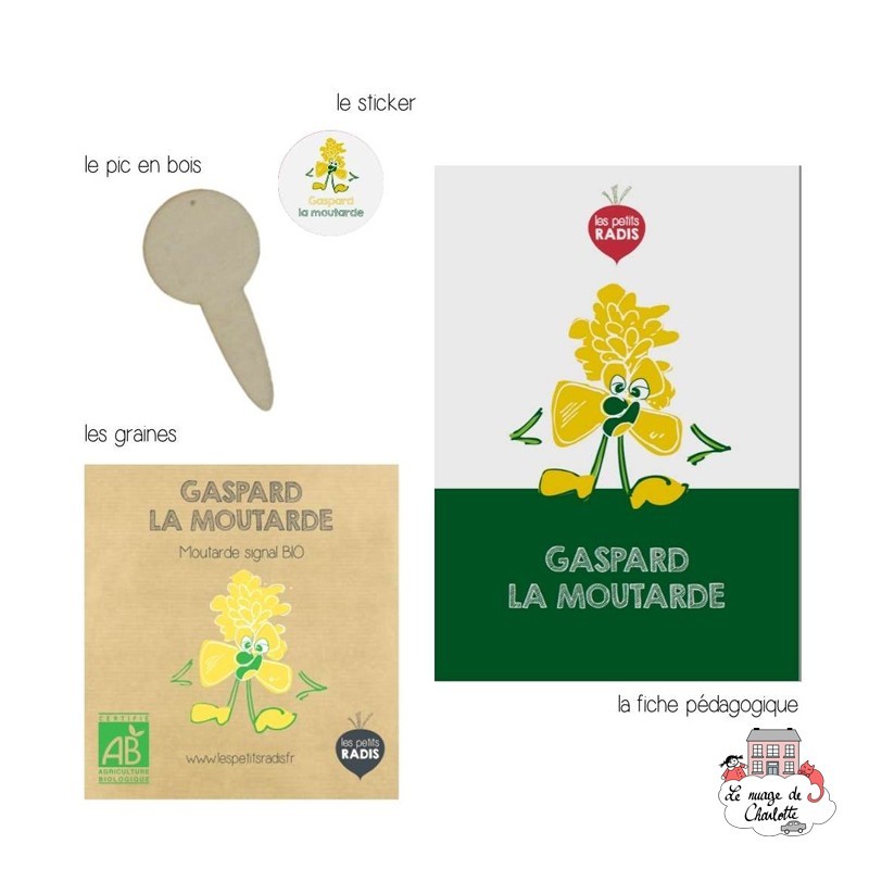 Mini kit de graines BIO de Gaspard la moutarde - LPR-G021 - Les Petits Radis - Nature et découvertes - Le Nuage de Charlotte