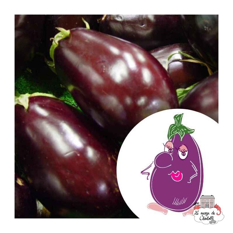 Mini organic seed kit of Ludivine aubergine - LPR-G211 - Les Petits Radis - Nature and discoveries - Le Nuage de Charlotte