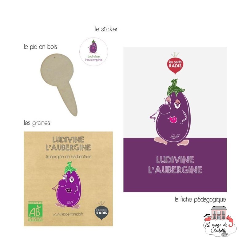 Mini organic seed kit of Ludivine aubergine - LPR-G211 - Les Petits Radis - Nature and discoveries - Le Nuage de Charlotte