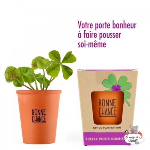 Kit "Bonne chance" - Trèfle à 4 feuilles - R&C-032624 - Radis et Capucine - Nature et découvertes - Le Nuage de Charlotte