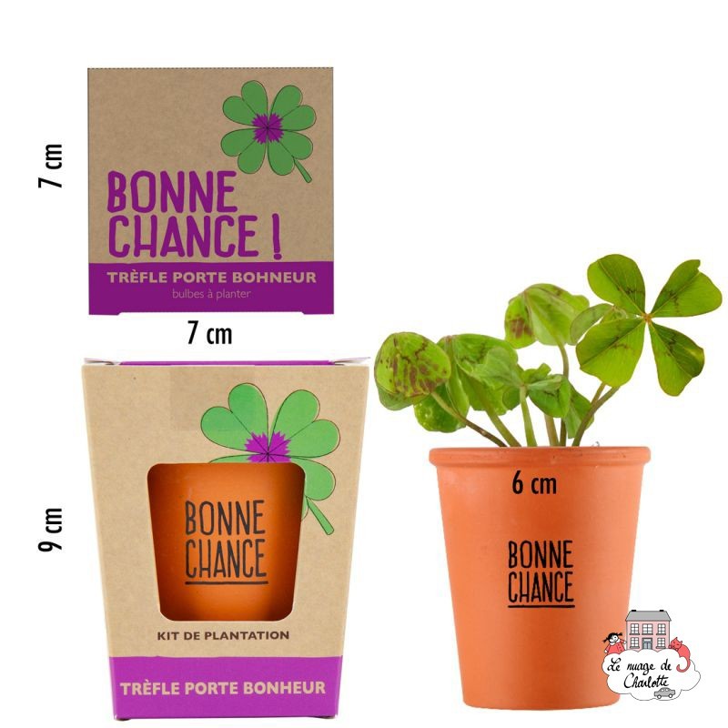 Kit "Bonne chance" - Trèfle à 4 feuilles - R&C-032624 - Radis et Capucine - Nature et découvertes - Le Nuage de Charlotte