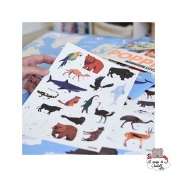 Discovery Stickers - Animaux du monde - POP-DIS003 - Poppik - Stickers et gommettes - Le Nuage de Charlotte