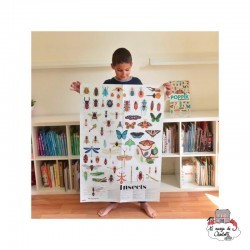 Discovery Stickers - Insects - POP-DIS007 - Poppik - Stickers and gommettes - Le Nuage de Charlotte