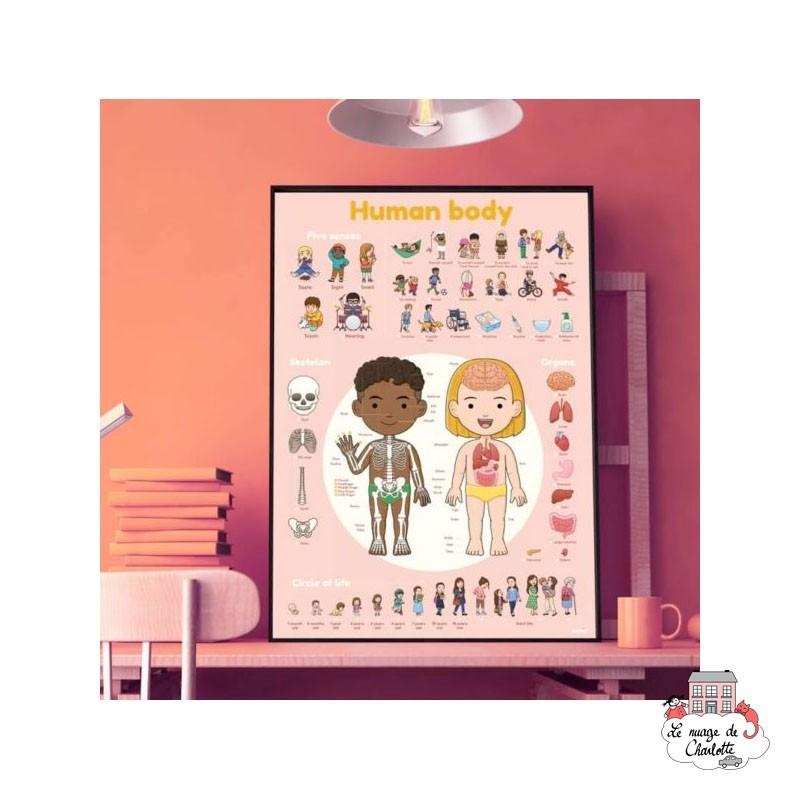 Discovery Stickers - Human Body - POP-DIS011 - Poppik - Stickers and gommettes - Le Nuage de Charlotte