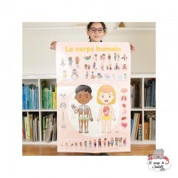 Discovery Stickers - Human Body - POP-DIS011 - Poppik - Stickers and gommettes - Le Nuage de Charlotte