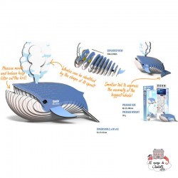 Eugy 066 - Blue whale - EUG-5313966 - dodoland - Maquettes en carton - Le Nuage de Charlotte