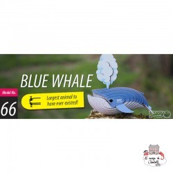 Eugy 066 - Blue whale - EUG-5313966 - dodoland - Maquettes en carton - Le Nuage de Charlotte