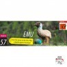 Eugy 057 - Emu - EUG-5313956 - dodoland - Maquettes en carton - Le Nuage de Charlotte