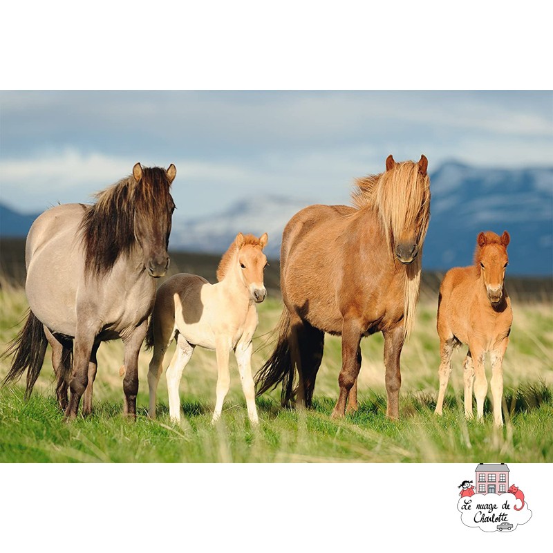 Famille Cheval - SDT-56199 - Schmidt - Puzzles pour les petits - Le Nuage de Charlotte