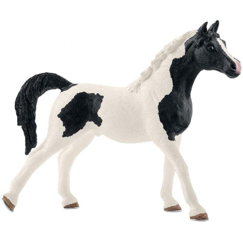 Etalon Pintabian - SCH-13840-⚫ - Schleich - Figurines et accessoires - Le Nuage de Charlotte