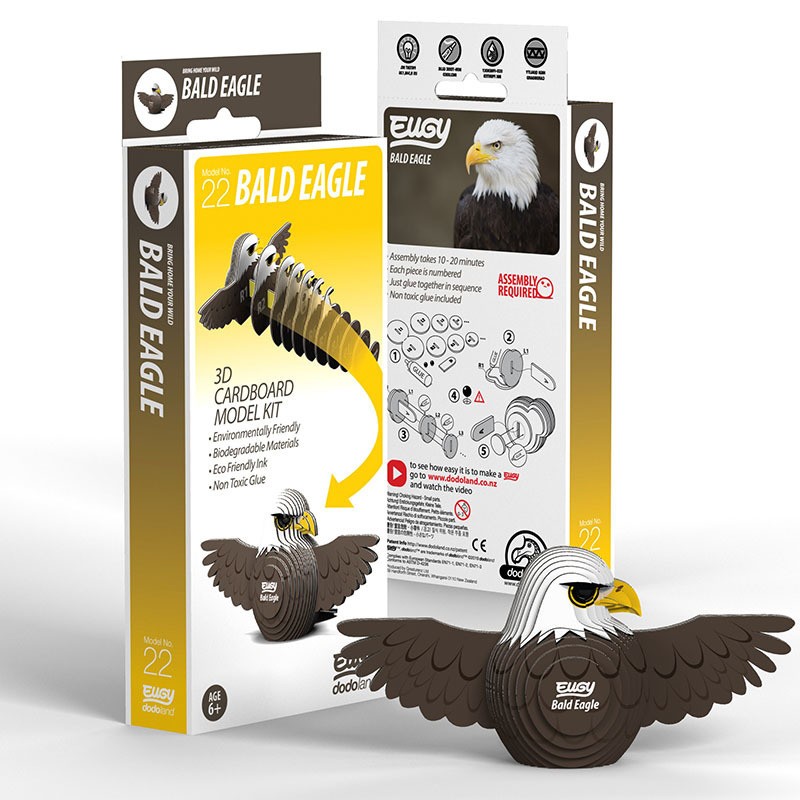 Eugy 022 - Bald Eagle - EUG-5313922 - dodoland - Maquettes en carton - Le Nuage de Charlotte