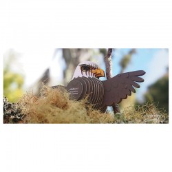 Eugy 022 - Bald Eagle - EUG-5313922 - dodoland - Maquettes en carton - Le Nuage de Charlotte