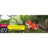 Eugy 072 - Red Fox - EUG-5313972 - dodoland - Maquettes en carton - Le Nuage de Charlotte