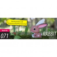 Eugy 071 - Rabbit - EUG-5313971 - dodoland - Maquettes en carton - Le Nuage de Charlotte