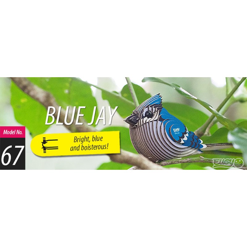 Eugy 067 - Blue Jay - EUG-5313967 - dodoland - Maquettes en carton - Le Nuage de Charlotte