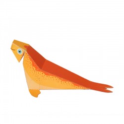 Jouets en papier animaux marins - PUK-26243 - Pukaca - Maquettes en carton - Le Nuage de Charlotte