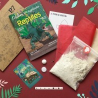 KIT : Reptiles - LAI-REPTILES - L'atelier Imaginaire - Boîtes créative - Le Nuage de Charlotte