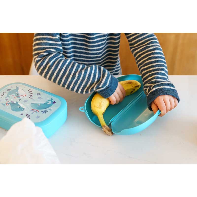 Banana box - blue Whale - AMU-A-000365 - Amuse - Lunch box, fruit and snack - Le Nuage de Charlotte