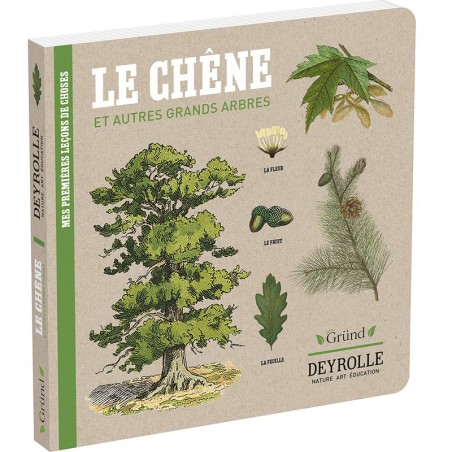 Le chêne et autres grands arbres - EGR-9782324029035 - Editions Gründ - Documentaires - Le Nuage de Charlotte