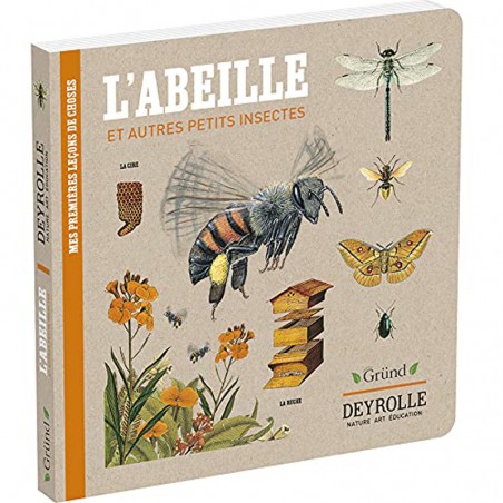 Abeille et autres petits insectes - EGR-9782324029028 - Editions Gründ - Documentaires - Le Nuage de Charlotte