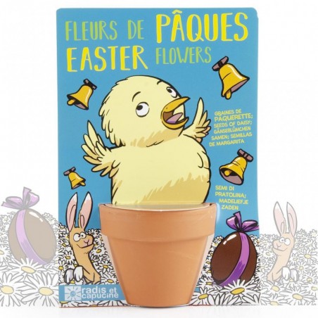 Easter chick and her daisies to sow - R&C-034126 - Radis et Capucine - Nature and discoveries - Le Nuage de Charlotte