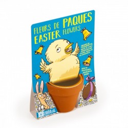 Easter chick and her daisies to sow - R&C-034126 - Radis et Capucine - Nature and discoveries - Le Nuage de Charlotte