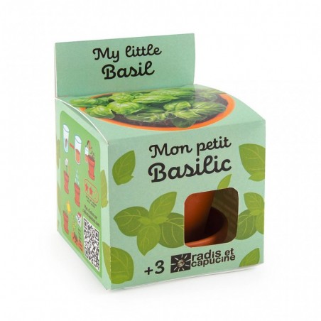 Mon petit Basilic - Pot 8 cm - R&C-041562 - Radis et Capucine - Nature et découvertes - Le Nuage de Charlotte